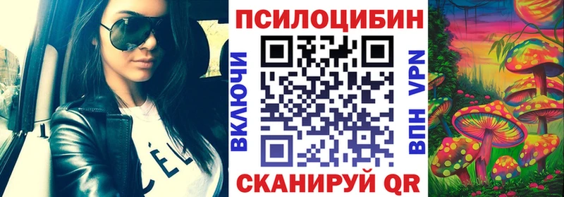 Псилоцибиновые грибы Cubensis  Купить закладки  Адыгейск 